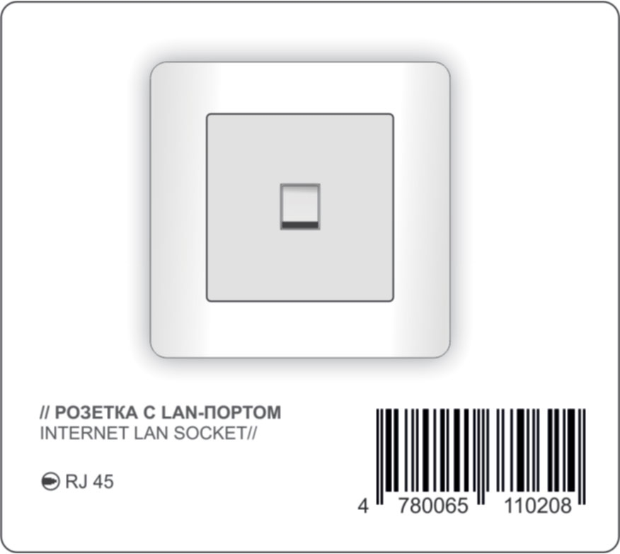 Internet LAN socket — iDevice
