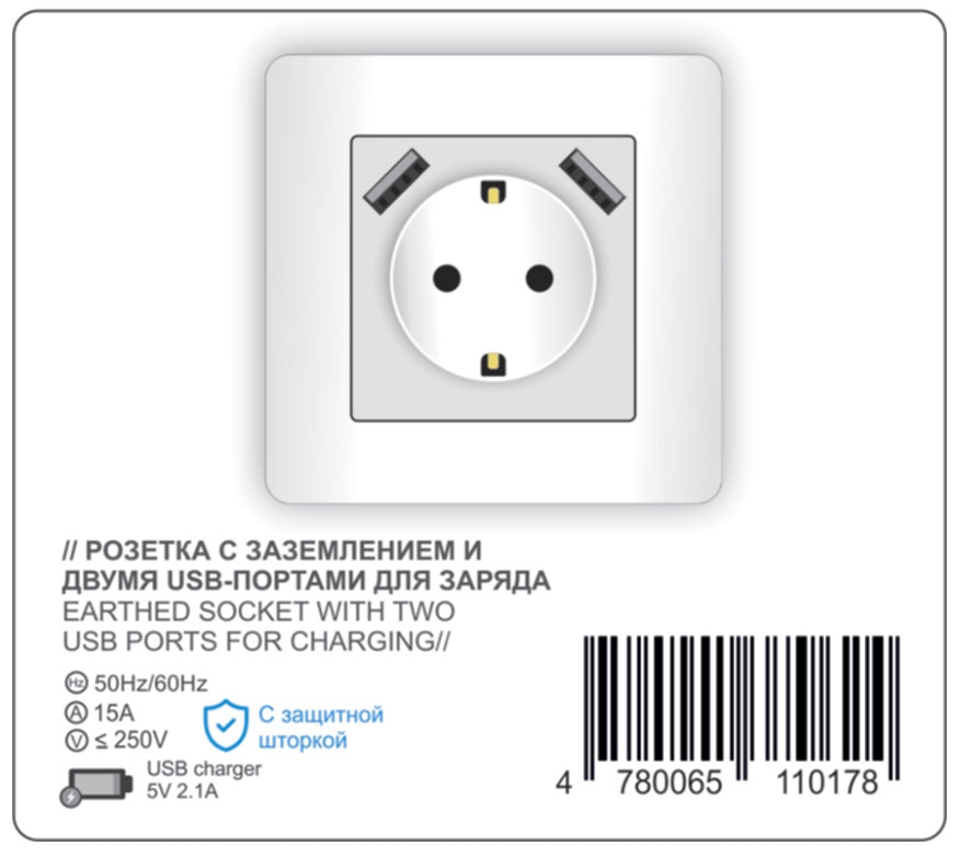 Earthed socket with two USB for charging — iDevice